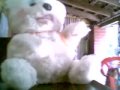 Oso Mortification.flv