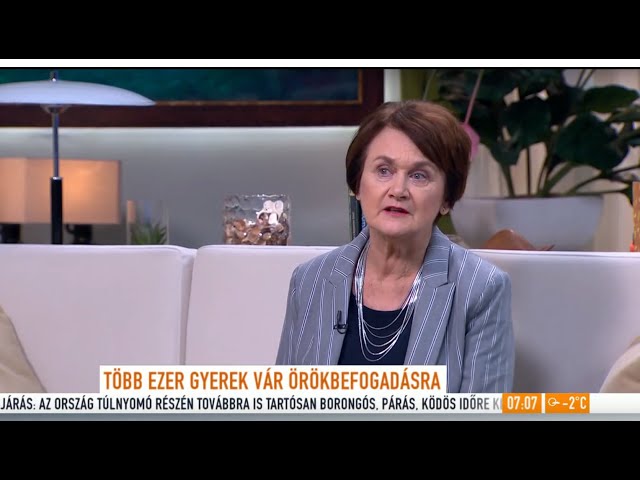 Az örökbefogadás menete – TV2 Mokka 2020-01-16