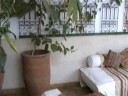 riad miski riad miski