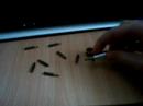 Precision Magnetic Screw Driver DEALEXTREME