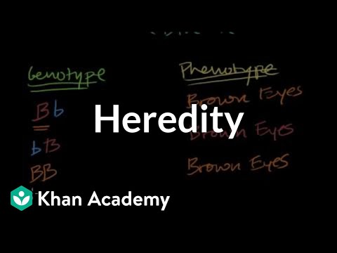 mechanism of heredity in psychology