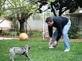Oscamesouto haciendo el perruno