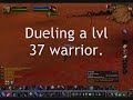WoW 29 Twink Warrior 2 (Improved)