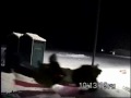 Sleddin' Day 10