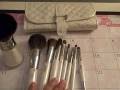 Costco Holiday 2008 Brush Set Review
