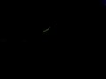 6-paul oakenfold live rosarito - fred-baker-total blackout