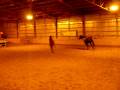 lunging.MOV