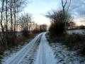 Laufen im Winter