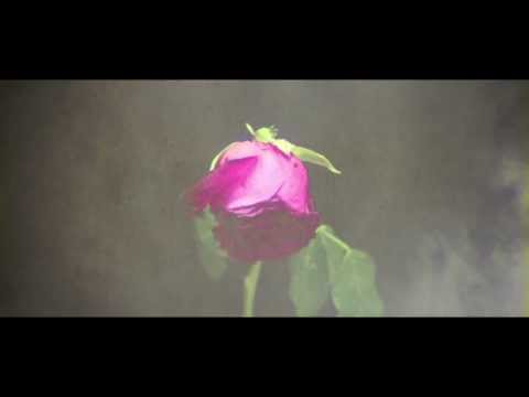 ธชย - เพลง: ตายช้าช้า ศิลปิน: ธชย สังกัด: i am (ไอ-แอม) -----------------------------------------------------------------------------------...