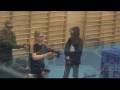 Ihmeellinen maailma - Airsoft