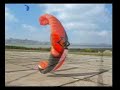 landkiting kite inline 8.10.2007