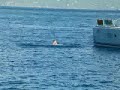 cameron hang time white bay jost van dyke bvi