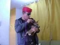 TV Top Vídeos Mais Engraçados da Internet Charles Colt - Solta o Pitbull aí minha filha