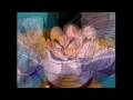 videos de 3 Way Collab (My Part)