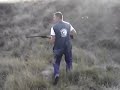 Caza de Codorniz con Fernando, Sur (Setter Ingles) y Petra de Aizcorri (Epagneul Breton)