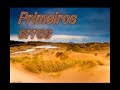Primeiros erros