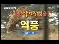 Tiger vs Lion