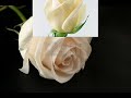 MDO ♪♪♪*sin ti*♪♪♪`[letras]♪y4n3th♪