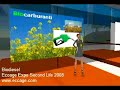 Biodiesel
