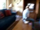 Lake House