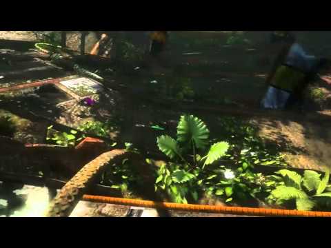 how to collect rc book