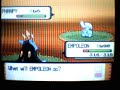 Shiny Phanpy With Poke Radar Shiny Phanpy With Poke Radar