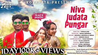 Niva Judata Pungar - Meghraj Meshram  New Gondi So