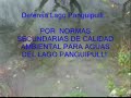 Lago Panguipulli y aguas servidas