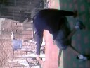 luiggi bboy trailer luiggi bboy trailer