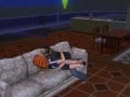 The Sims 2 Amasso