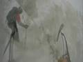 Emancipator