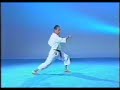 shotokan kata