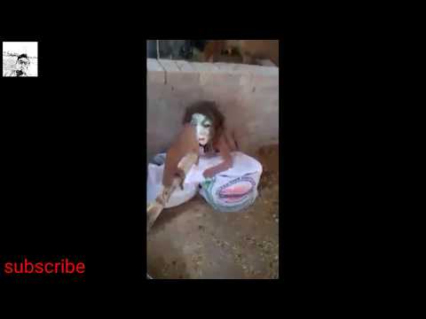 INDIA'S 1st REAL SCARY GHOST PRANK (PART 2)(DON"T MISS IT) |PRANKS IN INDIA|HORROR PRANKS IN INDIA|