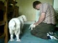 When George met Myer