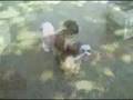 McKenzie_en_08_30