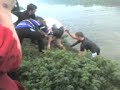 Us jumping in the river brue!!