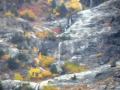Signal Mountain Campground, Grand Tetons ...