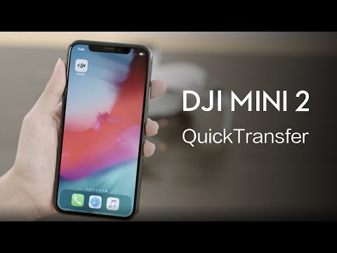 DJI Mini 2 | How to Use QuickTransfer Mode