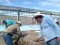 videos de compostaje en el v.carranza.3GP