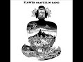 Flower Travelling band - Satori III