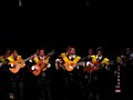 Nochecita Madrile�a( Vicalvaro)