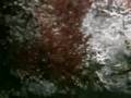 Endeavour Hydrothermal Vents