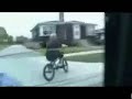 white-people ghostriding da whip