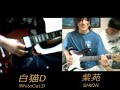 Canon Rock JAPANESE COLLABORATION