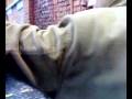 videos de Scalo76...i saluti di Diego alla sottoscritta mentre io ero negli studi...Tonya