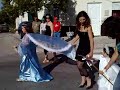 Procissão de São Pedro da Cova-Gala 2008(video 3)