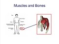 Fight Lead with Groceries  Hypertension Nutrition
