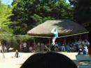 Korean tightrope walking tricks #1