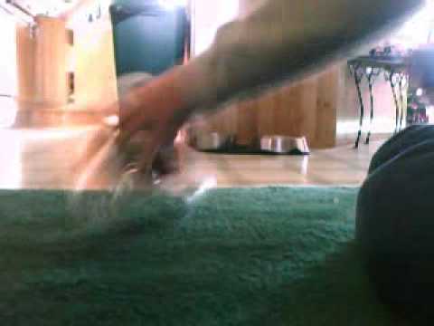 dc car show dc car show