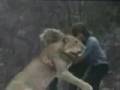 My friend the lion My friend the lion